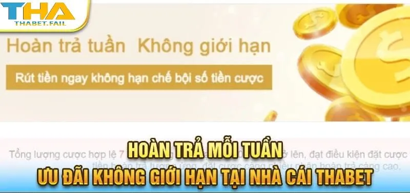 Hoàn trả mỗi tuần tại Thabet – giúp bạn yên tâm cá cược mà không phải lo lắng về vốn!